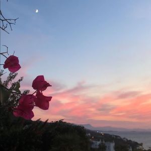 Meet your Posher, Carolina